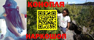 прущие крисы Ипатово