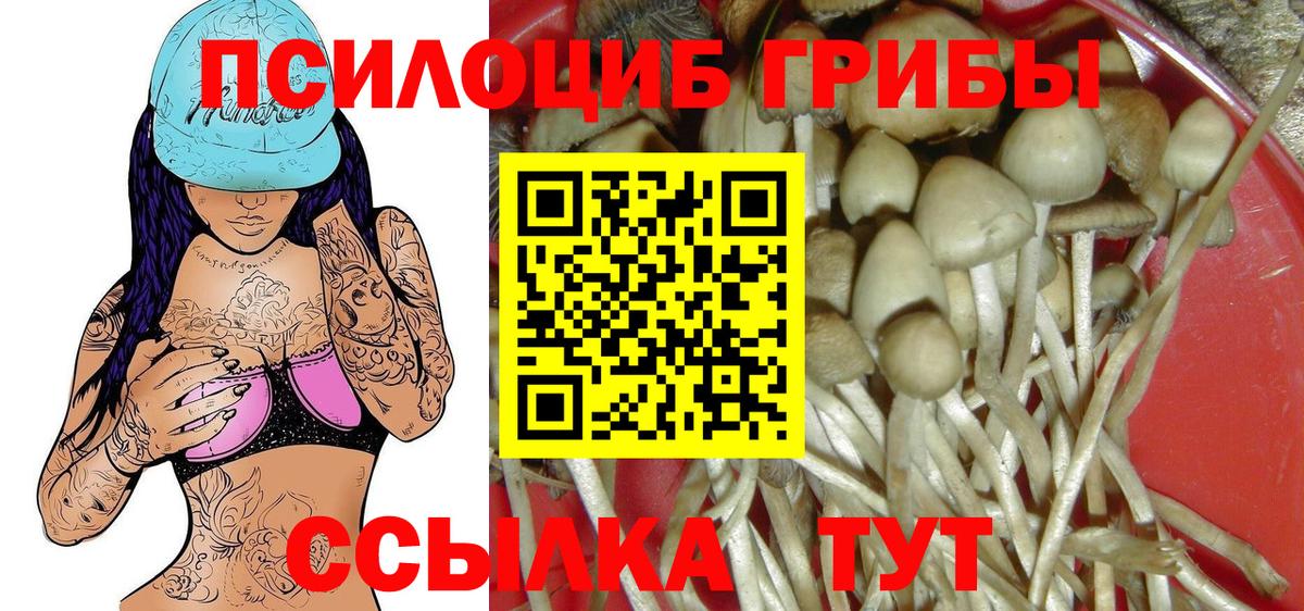 Бирск  Псилоцибиновые грибы мухоморы  Галлюциногенные грибы Psilocybe  Вход с VPN 